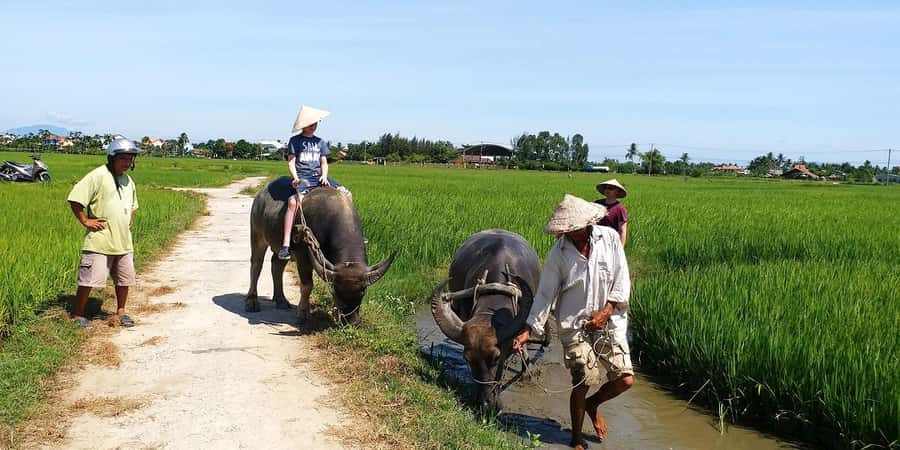 Da Nang or Hoi An: Countryside Bike & Basket Boat Tour - Trying traditional fishing methods