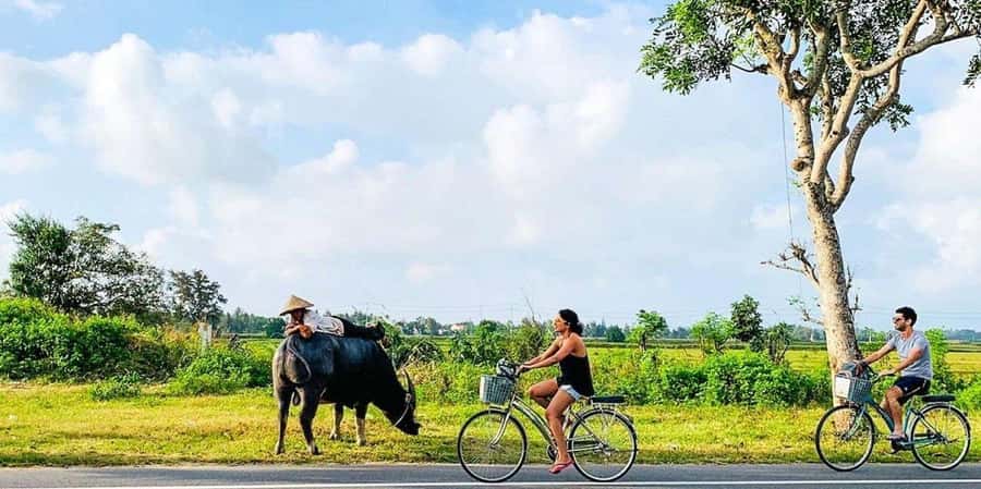 Da Nang or Hoi An: Countryside Bike & Basket Boat Tour - Entering Cam Thanh’s coconut waterways