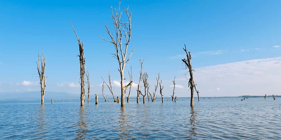 Day Trip: Hell's Gate Bike Ride & Lake Naivasha Boat Ride - Lake Naivasha by boat
