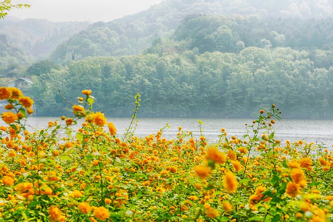 Day Trip to Nami Island with Rail bike and The Garden of Morning Calm - Gangchon Rail Bike: the day’s most active stop