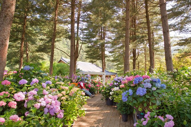 Day Trip to Nami Island with Rail bike and The Garden of Morning Calm - The best seasons for this day out