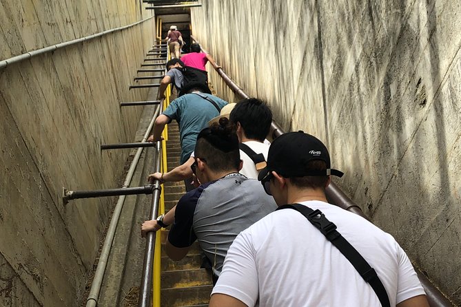 Diamond Head Bike to Hike and Local Lunch - Lighthouse Lookout, Shangri-La, and Hawaii Five-O