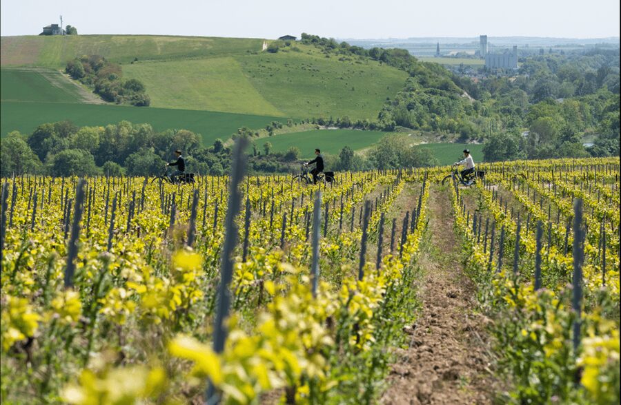 Dijon/Beaune: Full day Ebike Burgundy tour, tastings & lunch - Why Burgundy works so well by e-bike