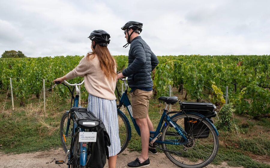 Dijon/Beaune: Full day Ebike Burgundy tour, tastings & lunch - A comparative tasting before lunch