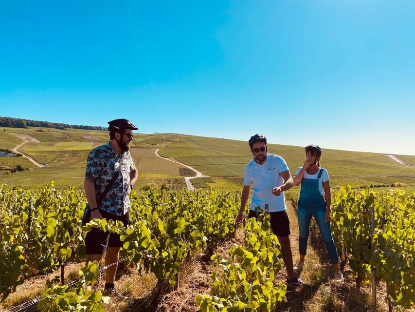 Dijon/Beaune: Full day Ebike Burgundy tour, tastings & lunch - Local charcuterie and cheese for lunch