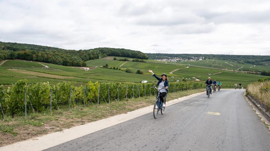 Dijon/Beaune: Full day Ebike Burgundy tour, tastings & lunch - What the $259 price buys you