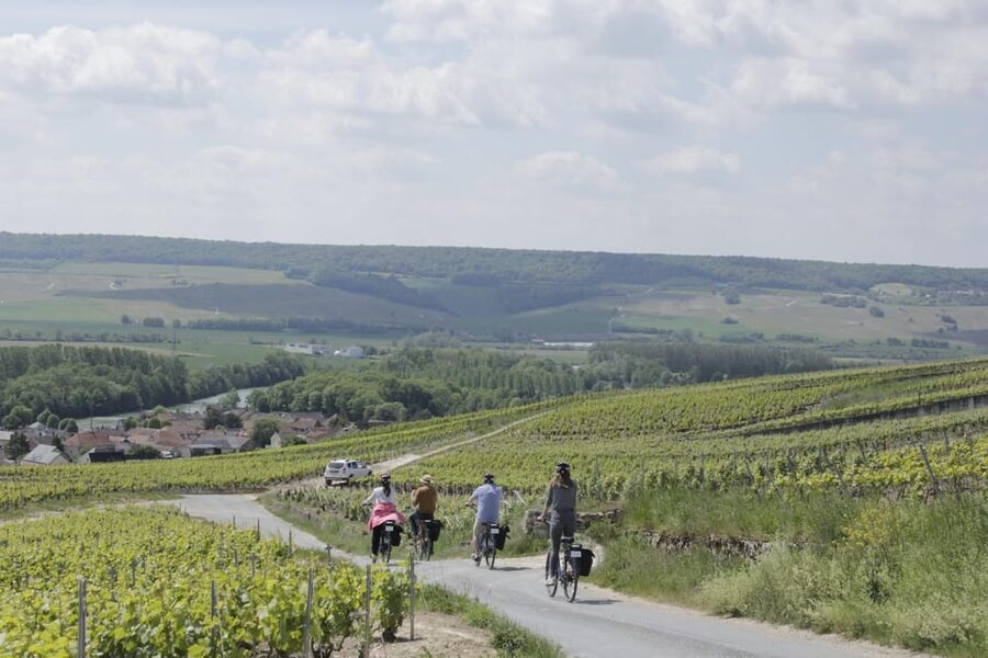 Dijon/Beaune: Full day Ebike Burgundy tour, tastings & lunch - Who should book, and who should skip it