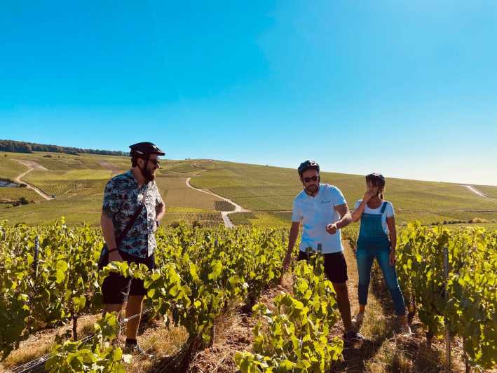 Dijon/Beaune: Full day Ebike Burgundy tour, tastings & lunch - Meeting in Dijon or Beaune