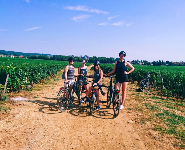 Dijon: Bike tour and Tastings in the Vineyards of Burgundy - Key points at a glance