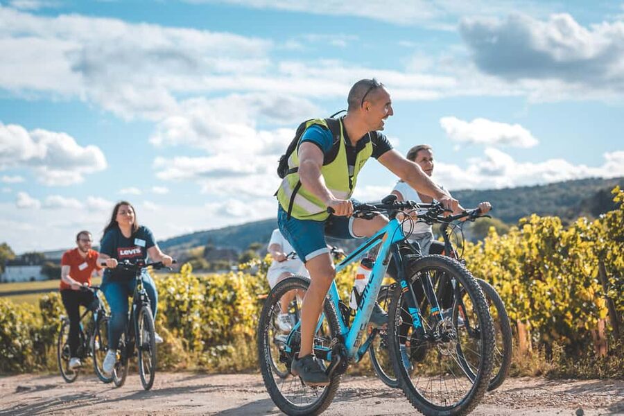 Dijon: Bike tour and Tastings in the Vineyards of Burgundy - Why a bike is a smart way to see the Côte de Nuits