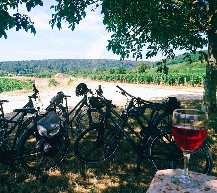 Dijon: Bike tour and Tastings in the Vineyards of Burgundy - Riding through Marsannay-la-Côte and Fixin