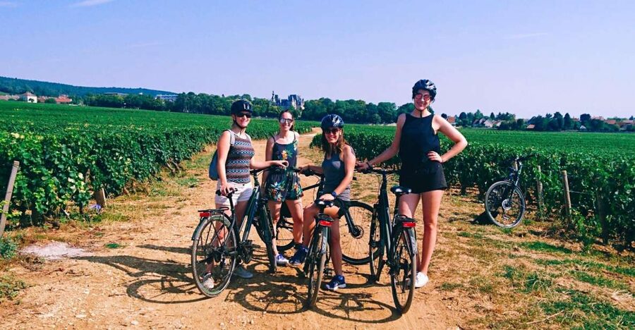 Dijon: Half-Day Guided Gourmet Bike Tour - Key points to know before you pedal