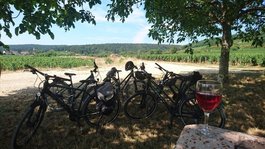 Dijon: Half-Day Guided Gourmet Bike Tour - Fixin and Brochon at bicycle speed