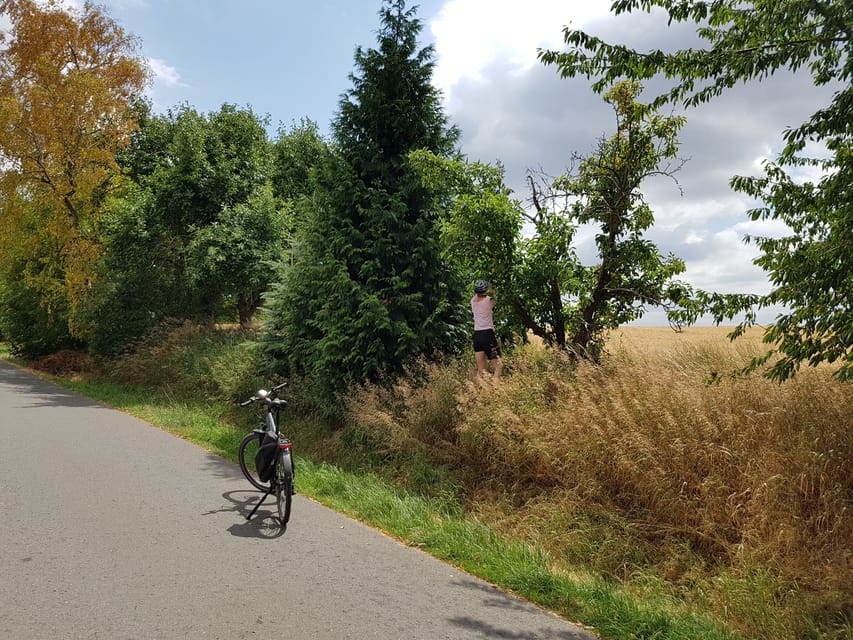 Dresden: E-Bike Tour and Dresden Heath Forest Trails - Reaching the Dresden TV tower