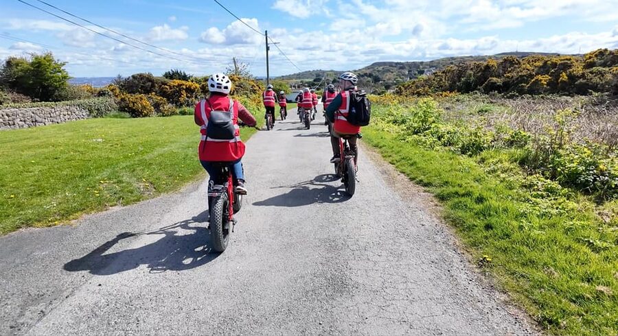 Dublin: Panoramic e-Bike Tour - Sutton Martello Tower and Strand Road, 45 minutes