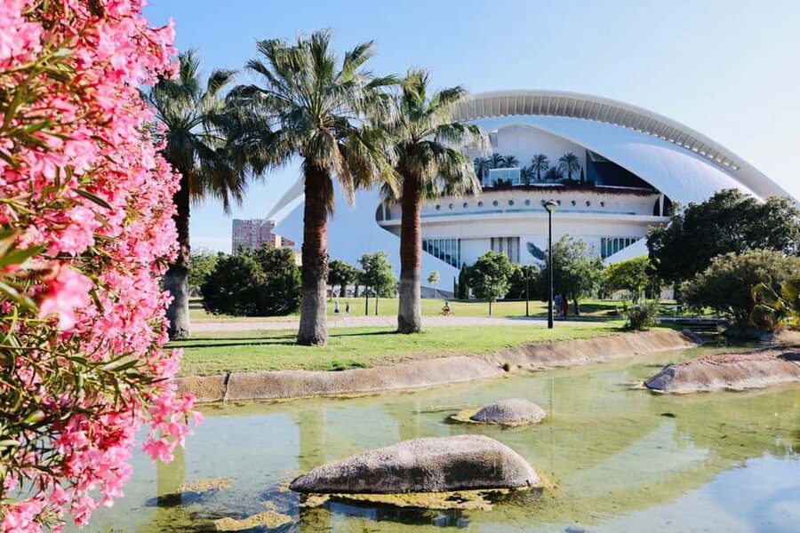 Dutch-Style Bike Tour in Valencia - The Valencian tasting and practical extras