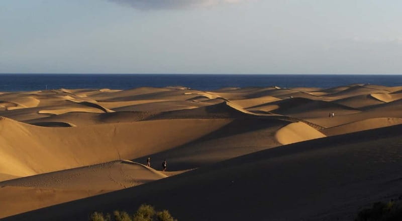 E-Bike CitySightseeing: Maspalomas, Playa Ingles, Meloneras - Who should book this e-bike tour?