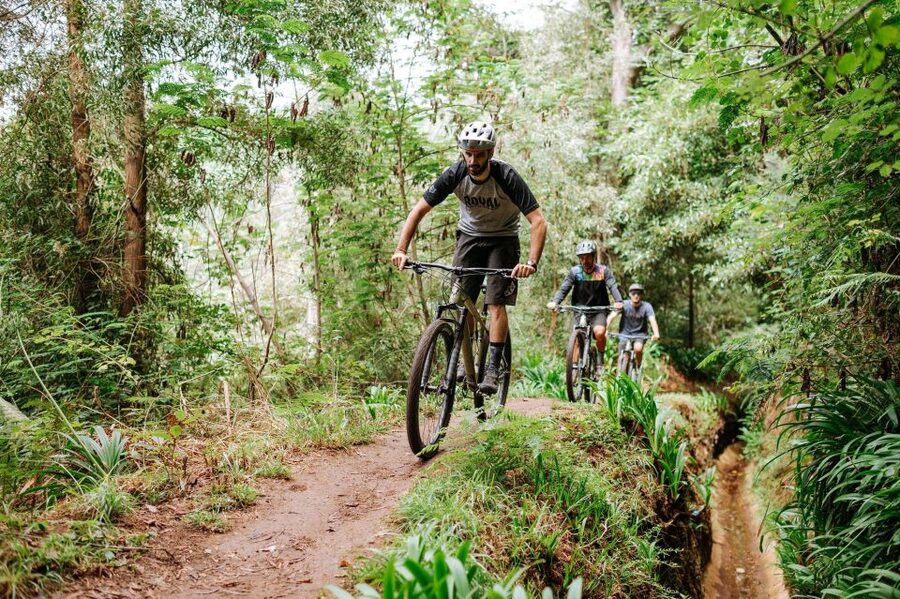 E-Bike Guided Tour - Mountain biking experience - Starting in Funchal and climbing to Camacha