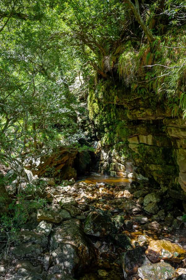 E-Bike & Hike Jonkershoek - A Small Picnic With Big Mountain Views