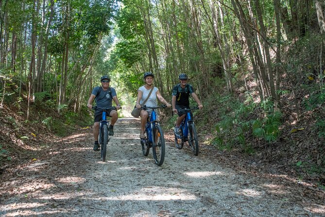 E-Bike Hire Northern Rivers Rail Trail, with Return Transport - From Byron Bay to Murwillumbah Railway Station