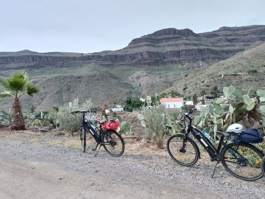 E-Bike Mountain Tour in Natural Park +Option Tapas in a Cave - Learning the Plants at Parque del Sur