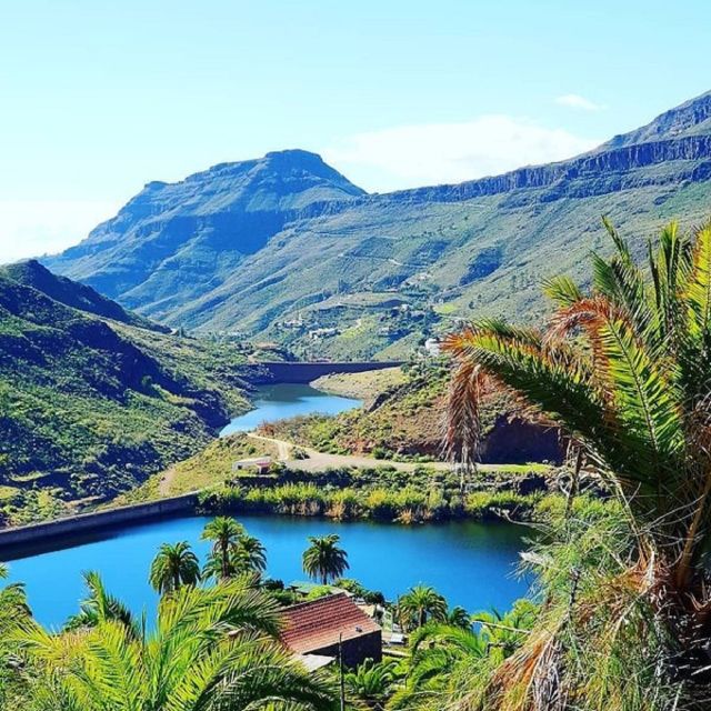 E-Bike Mountain Tour in Natural Park +Option Tapas in a Cave - The Downhill Ride Back to Maspalomas