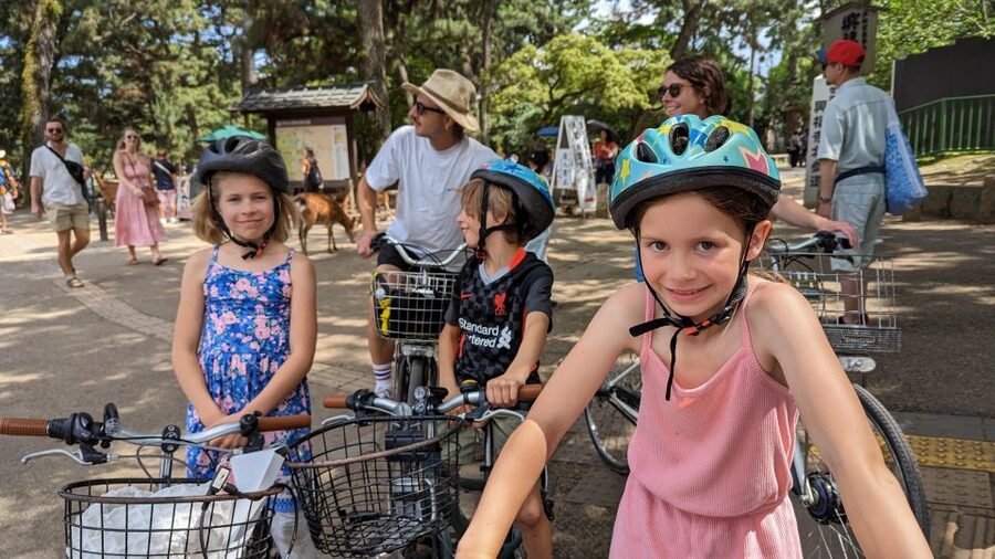 E-Bike Nara Highlights - Todaiji, Knives, Deer, Shrine - Deer, open park, and the Nandaimon Gate