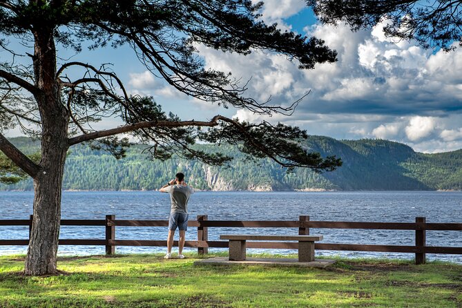 E-bike Rental - 3 hour along the shoreline Bike Path - Musée du Fjord: the optional indoor stop