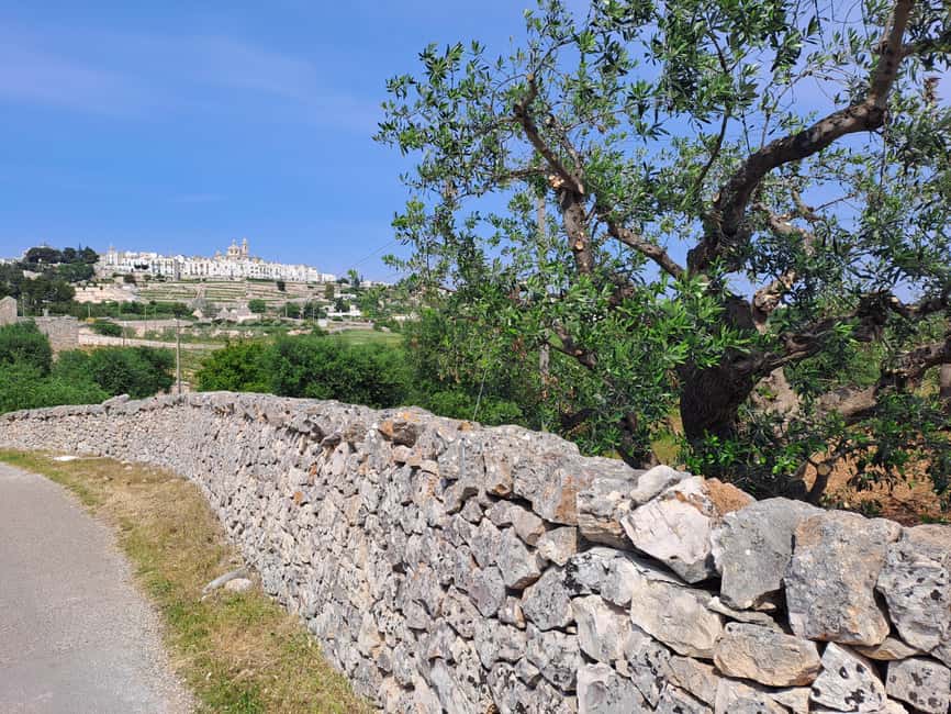 e-Bike ring tour between Martina Franca and Locorotondo - Bikes, equipment, and the real cost
