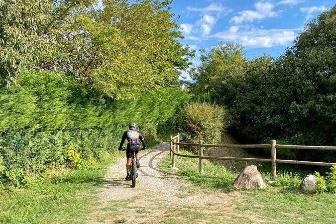 E-Bike tour and Wine tasting from Desenzano Inland - Starting at Famiglia Olivini near Desenzano