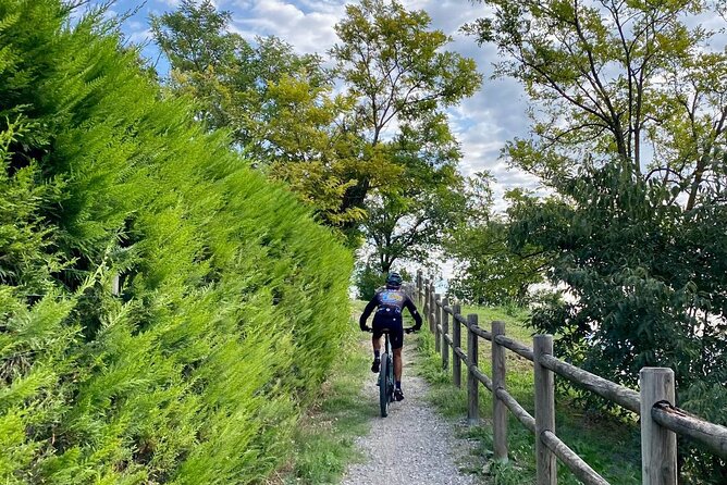 E-Bike tour and Wine tasting from Desenzano Inland - Seeing Sirmione away from the main streets