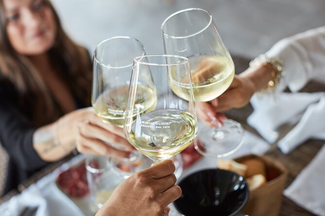 E-Bike tour and Wine tasting from Desenzano Inland - What the $102.41 price covers