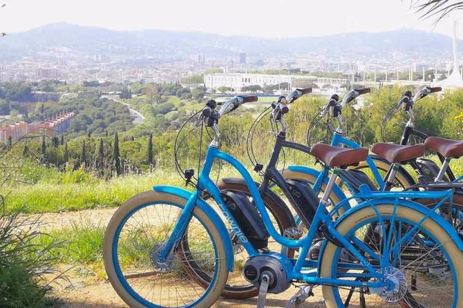 E-Bike tour in Barcelona with English Guide - Who should book this Barcelona bike tour?