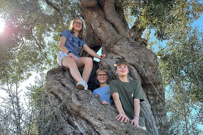 E-bike tour in Ostuni. Oil mill, Dolmen and huge olive trees - Riding through Parco Dune Costiere