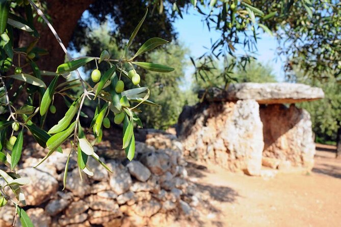 E-bike tour in Ostuni. Oil mill, Dolmen and huge olive trees - Practical details before you reserve