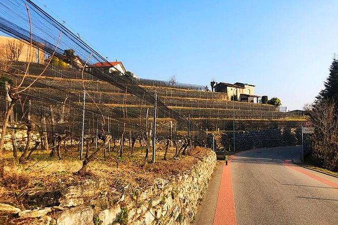 E-Bike Tour Lake Como and Swiss Vineyards - Who should book this Como cycling tour?