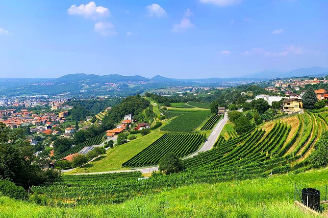 E-Bike Tour Lake Como and Swiss Vineyards - Crossing toward Vacallo and the Swiss border