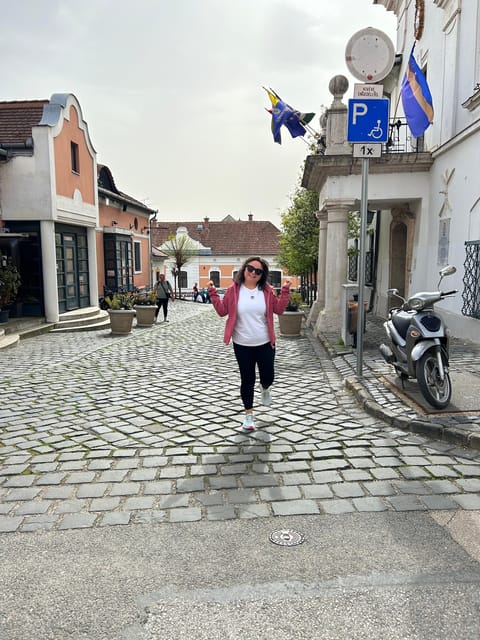 E-Bike Tour to Szentedre - The return ride to Budapest