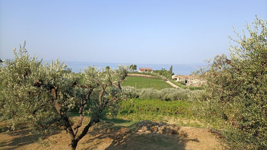 E-Bike Tour with Wine Tasting in the Bardolino area - Arriving at Valetti winery for the tasting