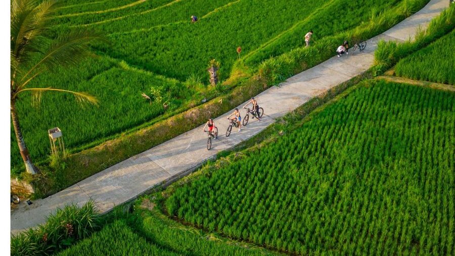 E-Bike: Ubud Rice Terraces & Traditional Villages Cycling - Should you book it?