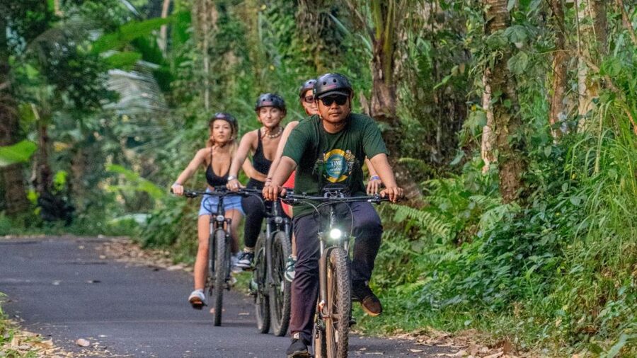 E-Bike: Ubud Rice Terraces & Traditional Villages Cycling - Why Harry matters to the experience