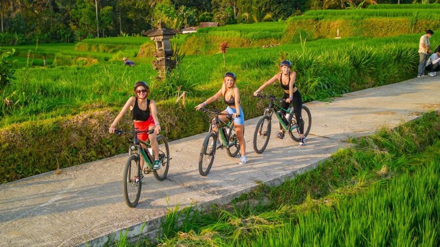 E-Bike: Ubud Rice Terraces & Traditional Villages Cycling - Who should book this e-bike tour