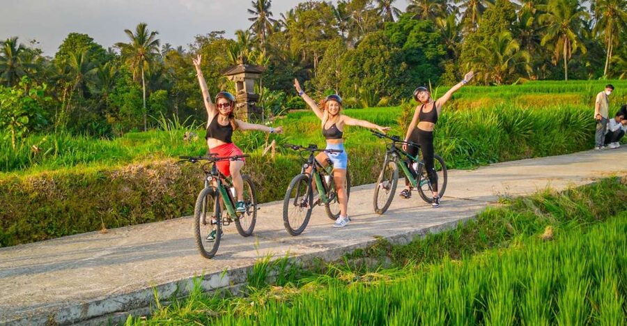 E-Bike: Ubud Rice Terraces & Traditional Villages Cycling - What the rice terraces reveal about Bali
