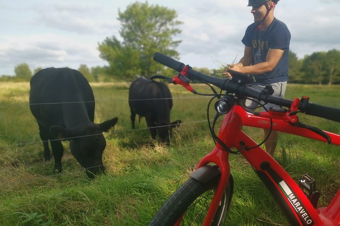 E-biking Central Forgotten Giants' s Adventure - Thomas on the Mountain requires steady riding