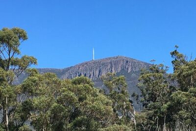 Easy Bike Tour – Mt Wellington Summit Descent & Rainforest Ride