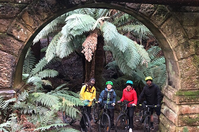 Easy Bike Tour - Mt Wellington Summit Descent & Rainforest Ride - The 6-Kilometre Summit Road Descent