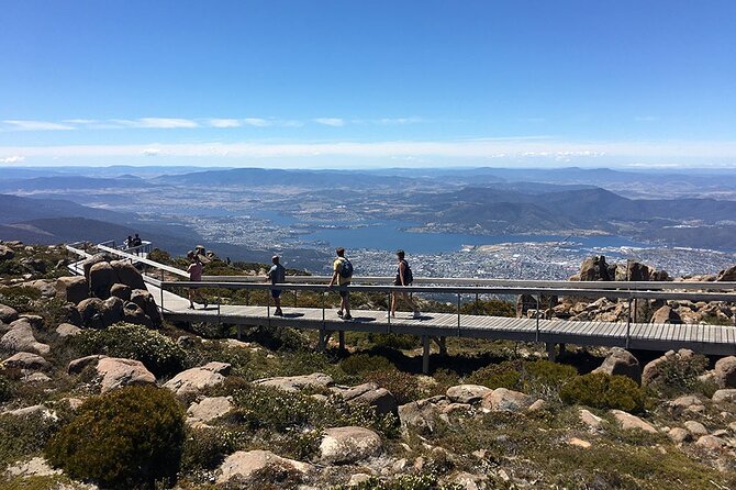 Easy Bike Tour - Mt Wellington Summit Descent & Rainforest Ride - A Short Break at Lost Freight Cafe