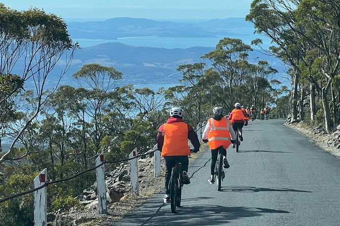 Easy Bike Tour - Mt Wellington Summit Descent & Rainforest Ride - The 11-Kilometre Rainforest Ride