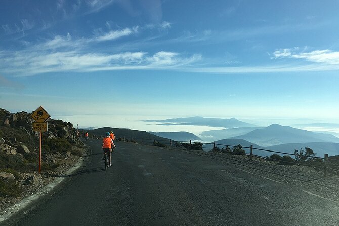 Easy Bike Tour - Mt Wellington Summit Descent & Rainforest Ride - What the Guides Add to the Ride