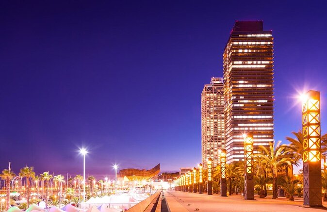 Ebike Tour, Winery, Wine Tasting & Sailing Experience(car option) - A Barcelona day trip with three distinct acts